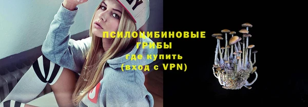 apvp Белокуриха