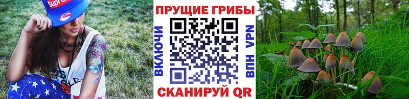 Псилоцибиновые грибы GOLDEN TEACHER Ворсма