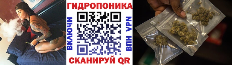 Бошки марихуана SATIVA & INDICA  Ворсма 